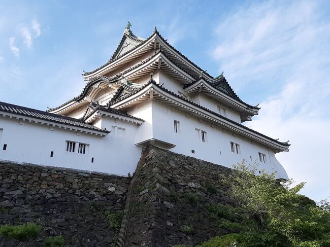 和歌山城。<br />天守閣まで登ってみます。