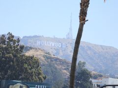 やっぱりこれを写さないとね。
ガイドさんの説明によると、昔は「HOLLYWOODLAND」と言われていたそうです。
13文字は嫌われる数字なので、LANDをとったとか。
望遠で撮ったのでちょいと見にくいです。
