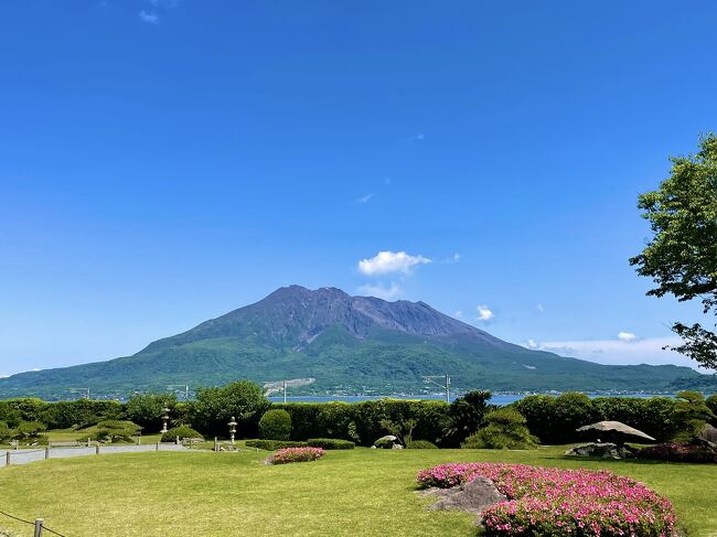 森伊蔵、8月当選分、鹿児島、桜島の麓から