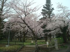 小田原城山公園に到着しました。私は途中で休憩したので小田原駅から30分かかりましたが、普通に歩けば小田原駅から徒歩20分くらいです。ただし上り坂が続くので、歩くにはそれなりに覚悟が必要です。