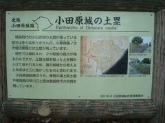 少し進むと右手に「小田原城の土塁」と書かれた看板がありました。
「小峯御鐘ノ台大堀切東堀には土塁が残っています」と書かれています。