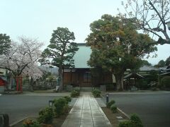 大蓮寺敷地内にも桜がありました。