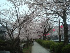 小田原城址公園南入口に戻ってきました。報徳広場・西海子小路・小田原文学館・大蓮寺とまわって30～40分くらいでした。