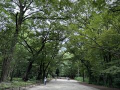 「糺の森」をゆっくり歩きながら「下鴨神社」へ