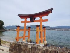 こちらの鳥居を見たかったからです。
厳島神社の大鳥居が工事中ということは事前にわかっていたのですが、調べていたところ宮島にはもう一つ海の中にある鳥居があるということがわかり訪問してみました。

大鳥居に比べれば小さいですが、確かに鳥居があります。
満足。
