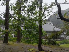 木の間からの建長寺の眺め　庭園の辺りです。