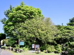 途中、田畑の中にあるヒバリカフェに休憩がてらやってきました。
ただお店はやっているようだけど、店員さんはおらず、トイレを借りておしまい。