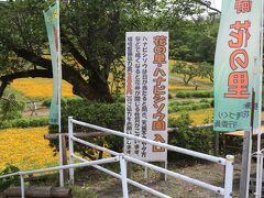 この日の第二の目的地の長瀞のハナビシソウ園があるのは、秩父鉄道長瀞駅から徒歩10分弱の長瀞町郷土資料館付属の花畑。

ボランティアの方達が花のお世話をしてくださっていて、園内に入場するには協力金の200円が必要だ。

