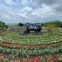 御翔印旅〈12〉 旭川空港　初夏の北海道　六花山荘　青い池　ファーム富田　六花亭めぐり