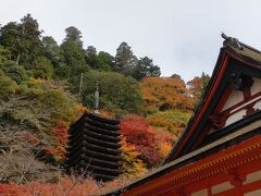 平日９時の開門同時なのですいてました。