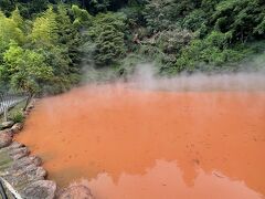 続いて、血の池地獄
ほんと真っ赤です。よく見ると、水は澄んでで、泥が赤い。
ここの売店は昭和感があって最高。温泉の素とか、すっぽんエキスとか買っちゃいました。
