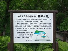 道路が未塗装、しかも細くてクネクネ道。
さくらの滝より、秘境に行くような雰囲気のある道でした。

林道を通って慎重に駐車場へ。
11:25　神の子池着。
