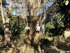 江島神社 奥津宮 亀石