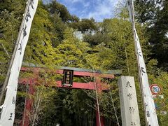 来宮神社は熱海の山手にある神社で、境内は斜面に沿って細長くなっています。パワースポットとして人気らしく、また、おしゃれなカフェや、写真スポット、くつろげるベンチなどもあって、大勢の若い人で賑わっていました。