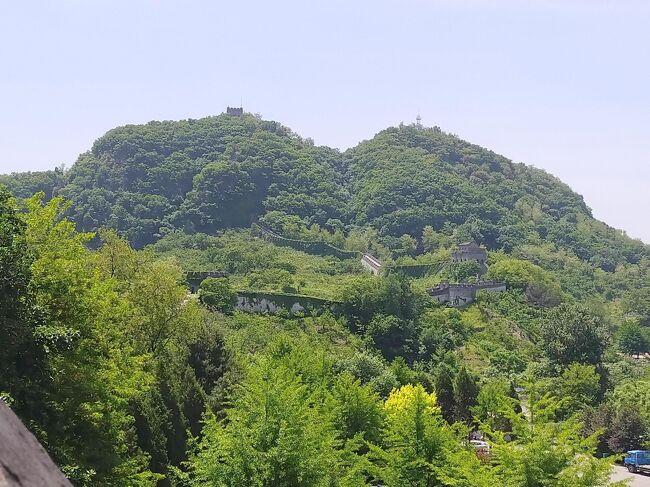 すごいなぁ<br />え？<br />あんな上まで行くの？？？<br />←行くんです