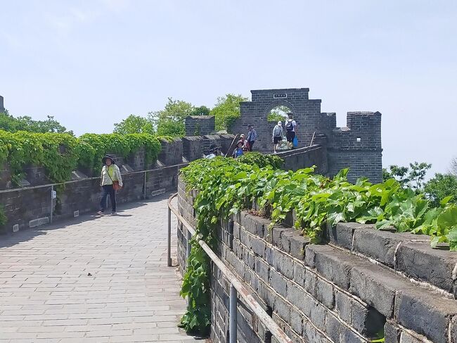 この辺りは自動販売機がないので予め水など用意しておいた方がいいです