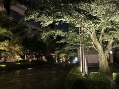 ホテルに帰ってきました。歩いてすぐです。しょうざんリゾート、緑がいっぱいで癒されます。