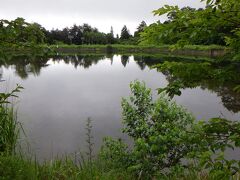 駒ケ根ユースホステルの目の前にある大沼湖
風もないので鏡の様になっています。