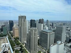 ホテル『パーク ハイアット 東京』の最上階からの眺望の写真。

『東京都庁』など西新宿の高層ビル群が見えますが、
それよりも高いです。