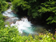 しぶきが立たなければ水も青いのでしょう。
ここの手前に四万湖（奥四万湖ではない）があってバスの中から見えましたが、曇空でも水の青さはわかりました。

ちょこっと四万ブルーを体感ですｗ