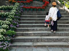 参道階段の勾配がきつくなるにつれて赤・紫・黄色・オレンジなど色鮮やかに咲いたビオラ・ベゴニア・バーベナのプランター約700個を使って、地元の方言で相手に感謝の思いを伝える意味の「幸せます」の文字を表現している。
ただ現地では遠く離れても、近づいても正直読めなかったので後で調べた。
