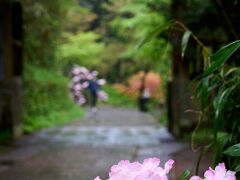 まずはホテルから近くの白川水源へ。阿蘇の地形の恵みで水源が多いのも特徴だそう。