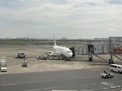 飛行機での移動