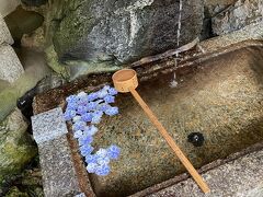 神社参拝。
紫陽花の花が浮いてて涼しげ。
でも、超絶暑いです。