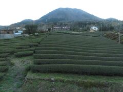 2023.03.18　益田ゆき普通列車車内
次の青野山は茶畑が広がる。毎回撮ってる気がする…