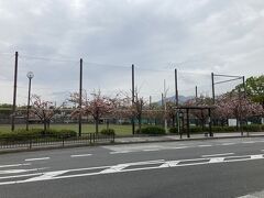 岡崎公園