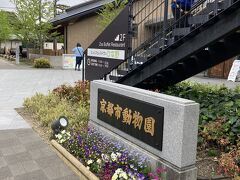 "京都市動物園" で、ゴリラの御一家とお別れ