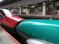 出発は東京駅から。
東北新幹線「やまびこ」と秋田新幹線「こまち」がドッキングした車両がホームに入ってきました。
さあ、これに乗るぞ！