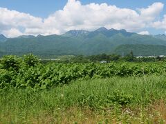 この時期の北海道は新緑の鮮やかな季節。
厳しい冬、短い春から草木が芽生える一番美しい時期です。

JR北海道のコーポレートカラーである黄緑色もこの時期の北海道のイメージから。