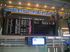 コロナ後、３年ぶりに海外へ。更新したパスポートをやっと使える！
今回はカタール航空でドーハ乗り継ぎ、マドリードへ。