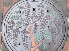 マンホール。
などなどゆっくり見ていたら、本日泊まる琴平の駅への予定到着時間は過ぎそうですので、お宿へ連絡。
予定より1時間遅れて琴平駅に到着。お宿に迎えに来ていただきました。
こちらの紅梅亭さんには、今年の初めに次男と2人で泊まって、お気に入りとなりまして夫とも宿泊します。次男と来た時は高知からアンパンマンに乗って、今回は岡山から周遊パスを使い瀬戸大橋を通って。
どちらの旅程も気分があがりますね。