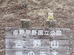 ここから、奥千本の桜を目指して歩くのですが、坂道が険しくて、ちょっとした登山です。
20分ほど歩くと、ようやく奥千本の桜と出会うことができました。