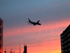 新大阪駅が近づくに連れ、伊丹空港を離発着する飛行機が頭上を掠め出し…。
夕陽と飛行機☆
旅のロマンを感じるわー（笑）