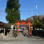 東北の旅♪五葉山＆国見山・開成山公園・三春滝桜