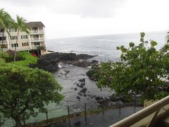 2月16日午前8時
ハワイ島カイルアコナのロイヤルコナリゾートホテルで迎える朝。