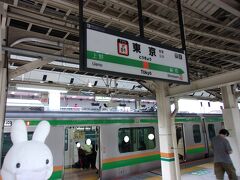 そして、地元の駅からＪＲ線に乗って東京駅へ行きます。

成田空港へどうやって行こうか悩んだのですが、今回は１回の乗り換えで行ける方法が良いかなぁと思いました。