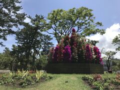 12:55
まっすぐ駅に向かおうと思っていたけど、神社に近くにあった植物園に入ってみました。
