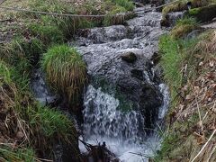 ●名水「水眼」の清流＠諏訪大社上社前宮境内

境内に流れる清流。
これは、古くから「すいが」と呼ばれ、約1km先の山中より湧き出し、前宮の神域を流れる御手洗川となり、昔から、神水として大切にされてきたそうです。