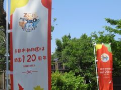 「京都市動物園」は120周年になり歴史ある動物園です。お子さんたちが楽しんでいる声が聞こえてきます。