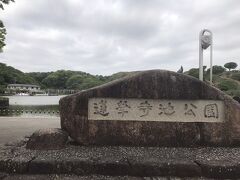 「蓮華寺池公園」藤まつり時には、駐車料金500円。
静岡県で藤と言えば、真っ先にこの公園が挙がるほど有名だそうです。初訪問。

この近くに「県立藤枝東高校」があります。ゴンちゃんこと中山選手・長谷部選手など23名のJリーガーを輩出しています。
