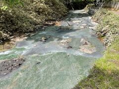 さらに10分程進むと大湯沼川天然足湯に到着。
川が温泉になっていて不思議な感じがします。
足をつけるとすごく気持ちいい！