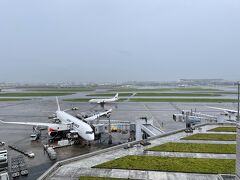 羽田空港国内線第1ターミナル展望デッキ (ガリバーズデッキ)