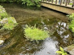 ちょうど羊蹄山の裏側くらいにあるふきだし公園へ。
水が綺麗すぎる。そして冷たい。