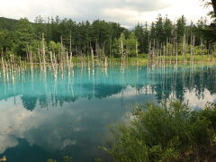 少し東に行けば青い池！
アルミニウムかなんかが溶け出してるそうですね、不思議。