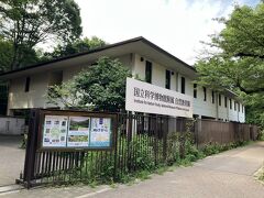 庭園美術館のすぐお隣は、自然教育園です。