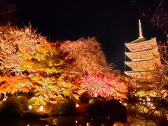 東寺の夜間参拝は本当にきれいで見事でした。